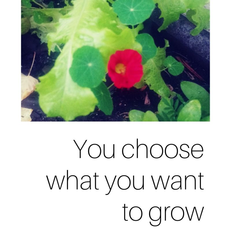 Building a Paper Time Machine Kori Doty